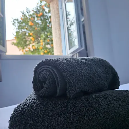 公寓 Du Soleil & - 科利尤尔