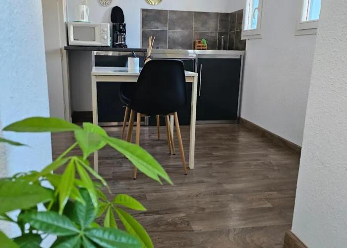 Du Soleil & - Apartment Collioure